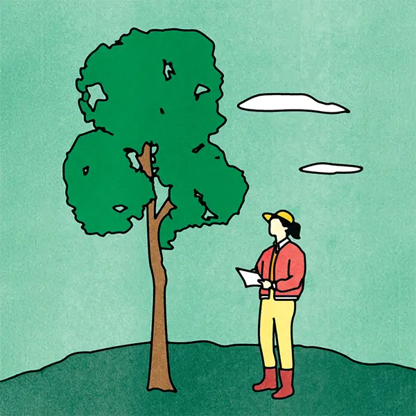 Researcher in a red jacket observes and takes notes next to a tree outdoors.