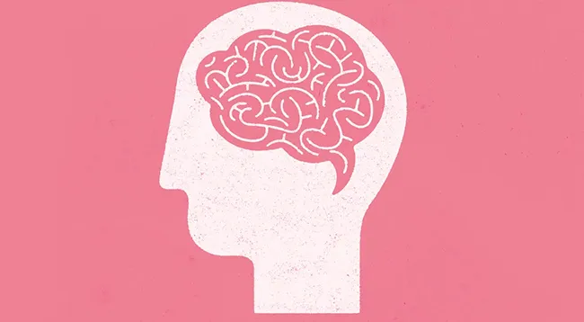 The Brain